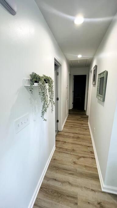 Modern Home Near Uptown Clt, Airport And More Charlotte Ngoại thất bức ảnh